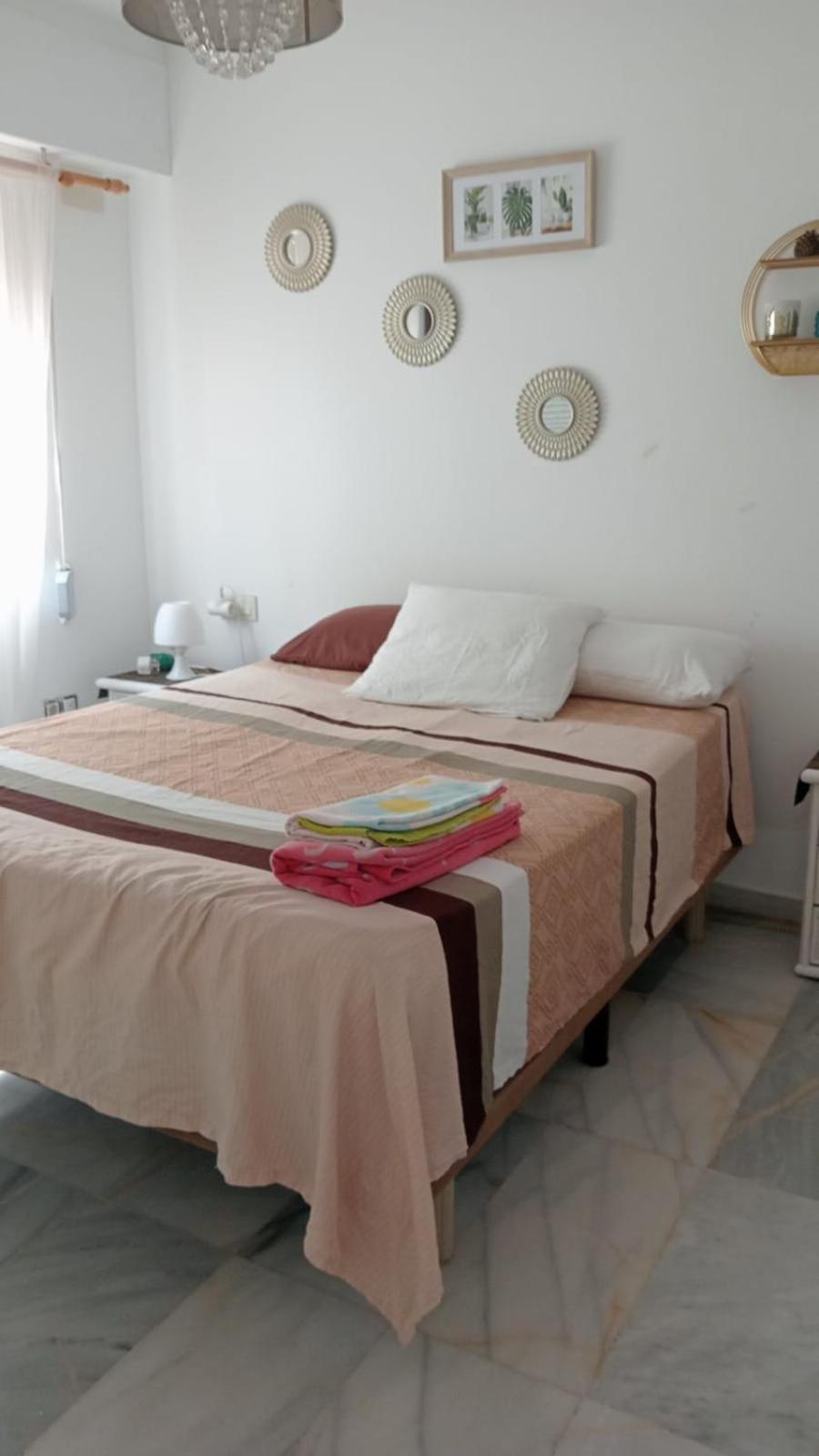 Apartamento Con Wifi, Mascotas Bienvenidas Бенидорм Екстериор снимка